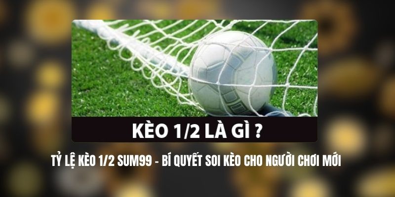 Tỷ Lệ Kèo 1/2 SUM99